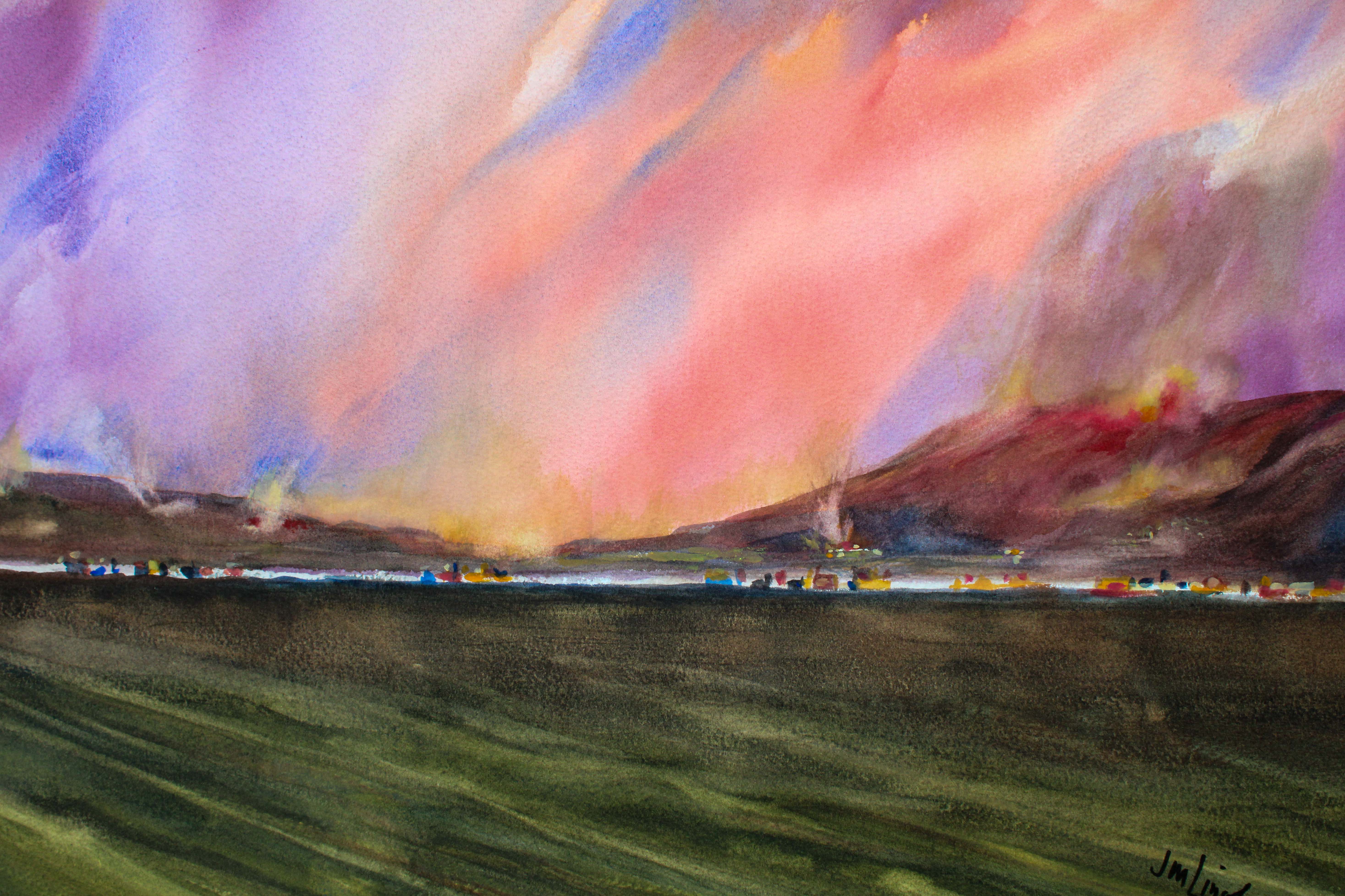 California Fires by J. M. Lincoln