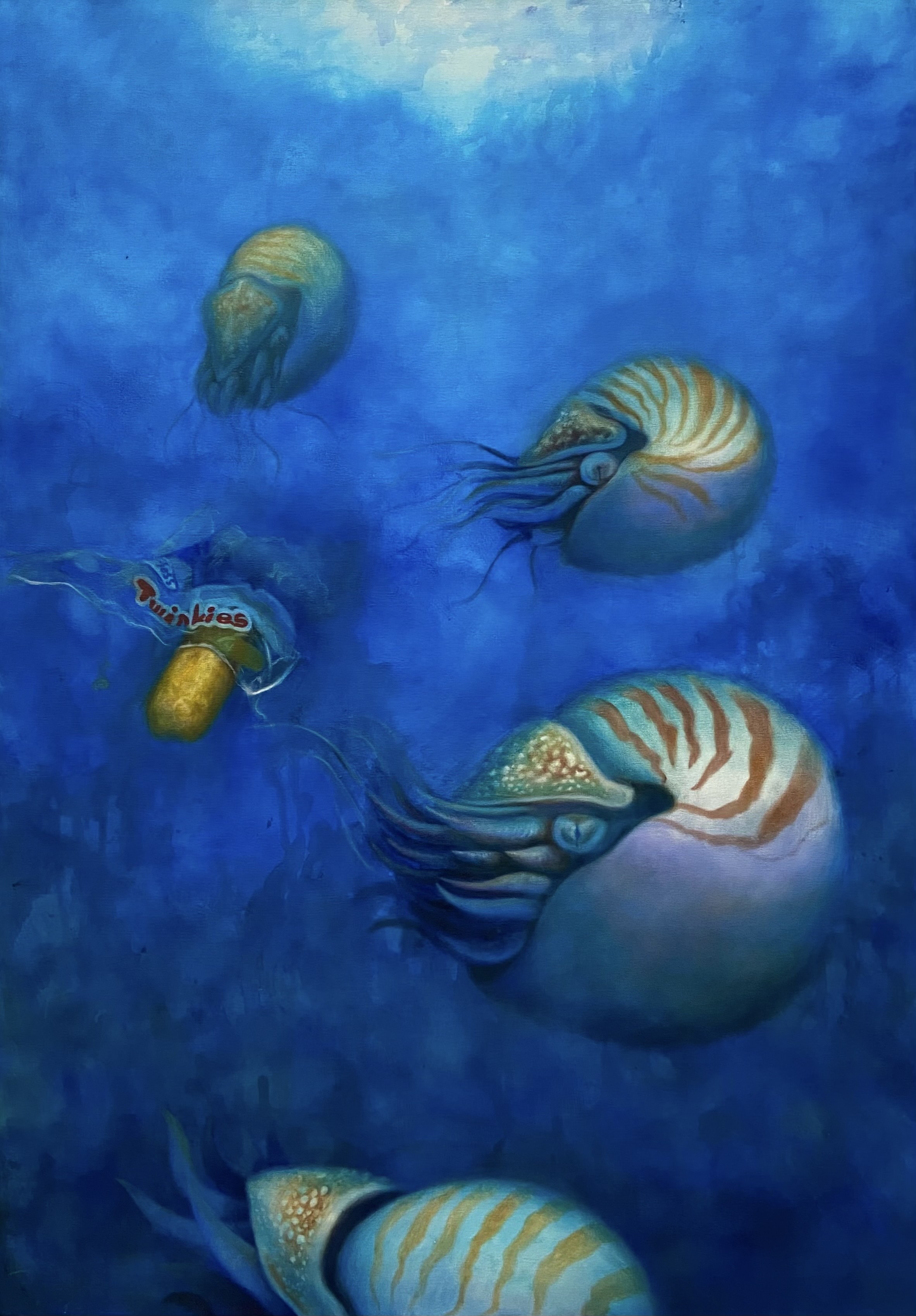 Court if the Nautili by Kevin Rodriguez