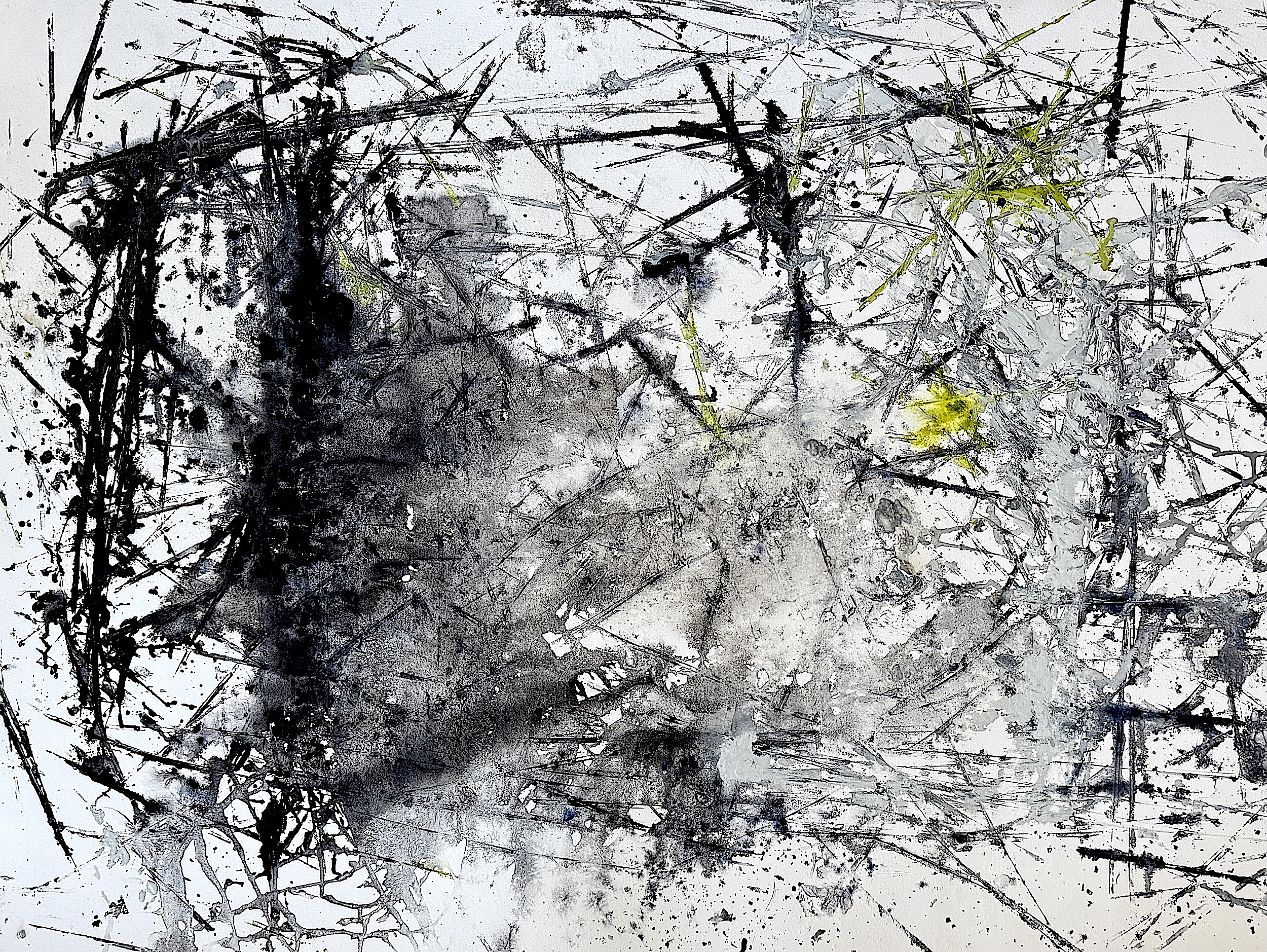 tears in the paper, fragments of debris gathered from the pond, layers of paint, and subtle marks left by the skate blade became embedded within the image.