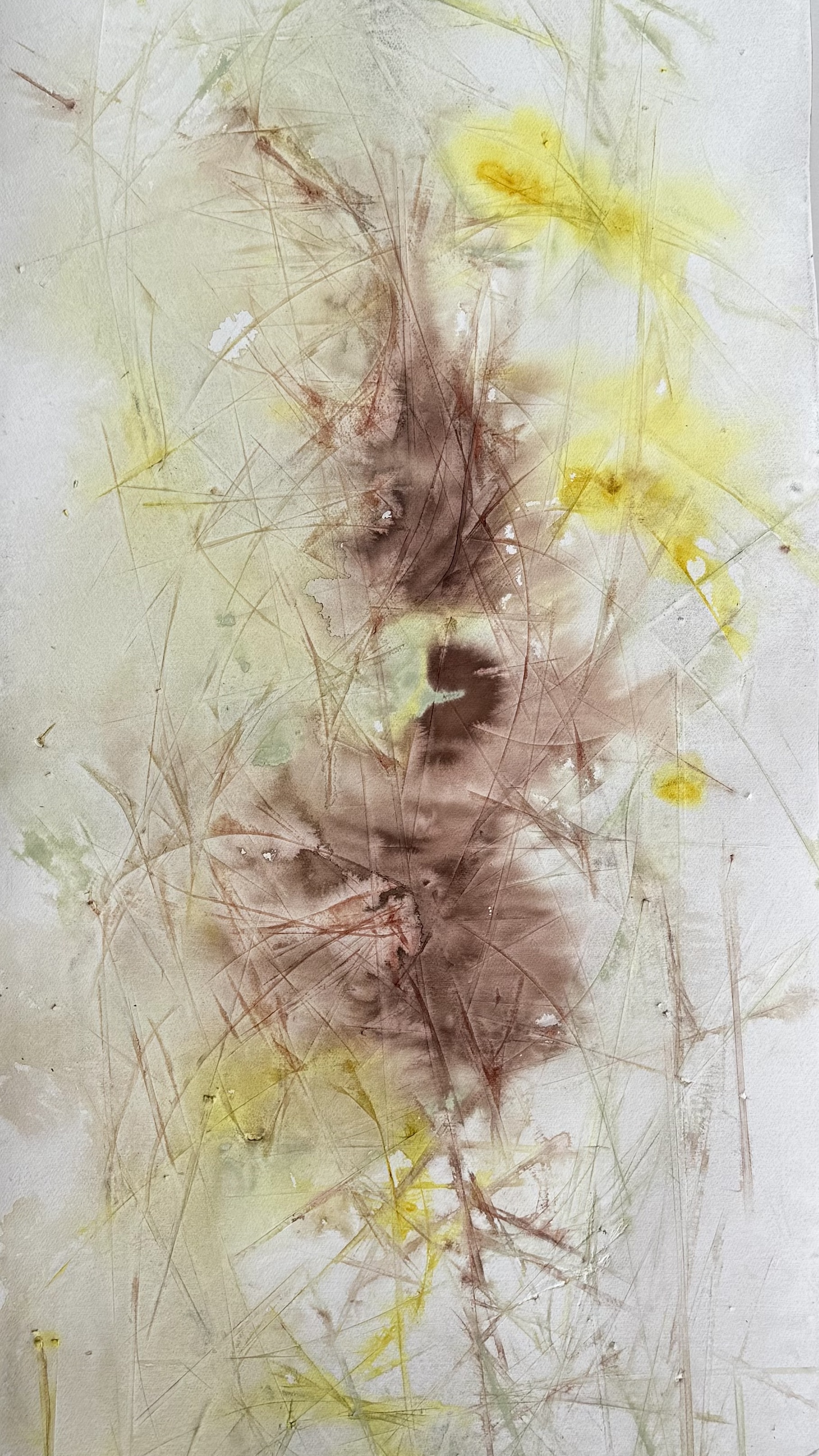 Cattails