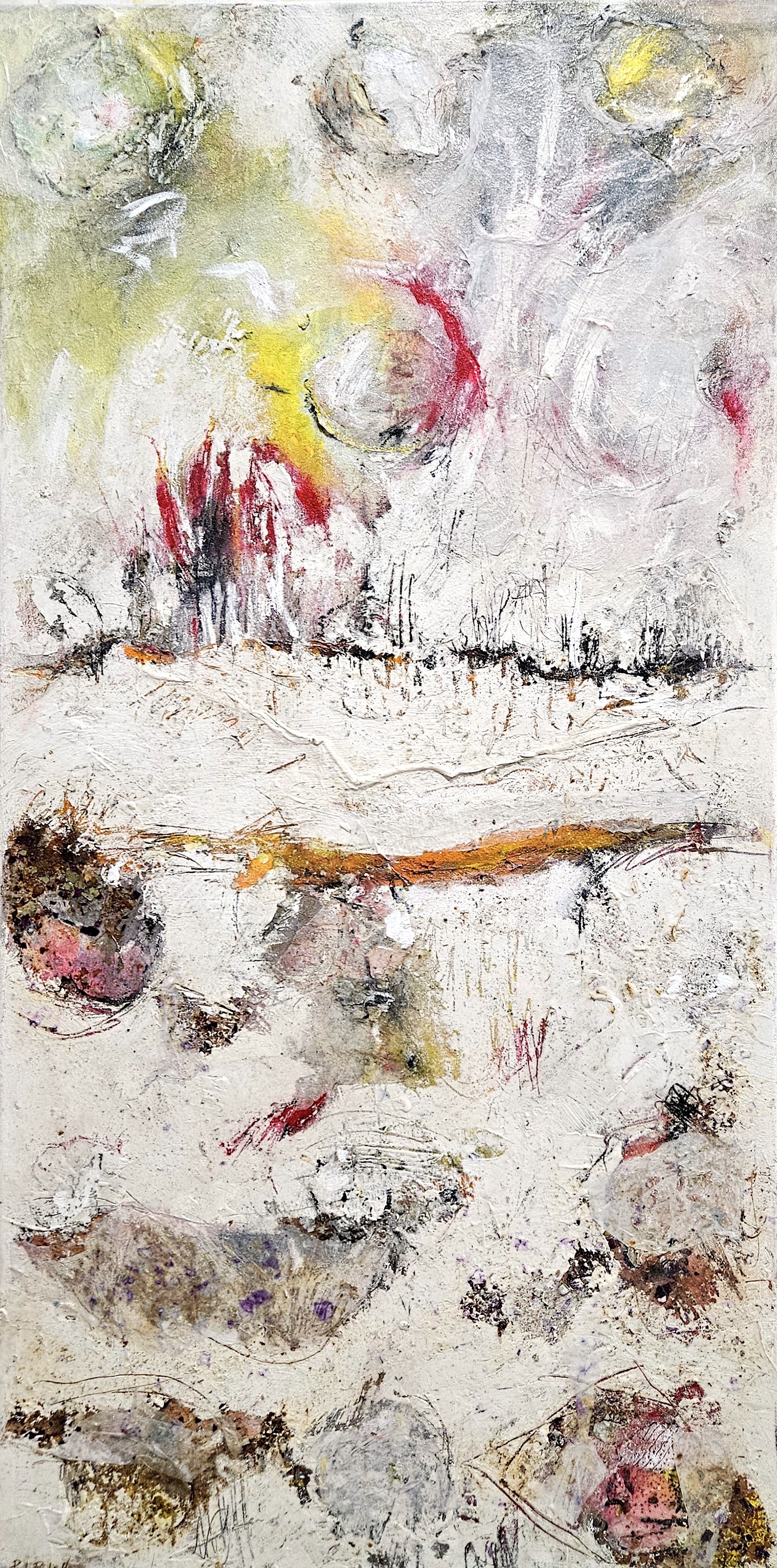 Erased Lands by Paola Bidinelli