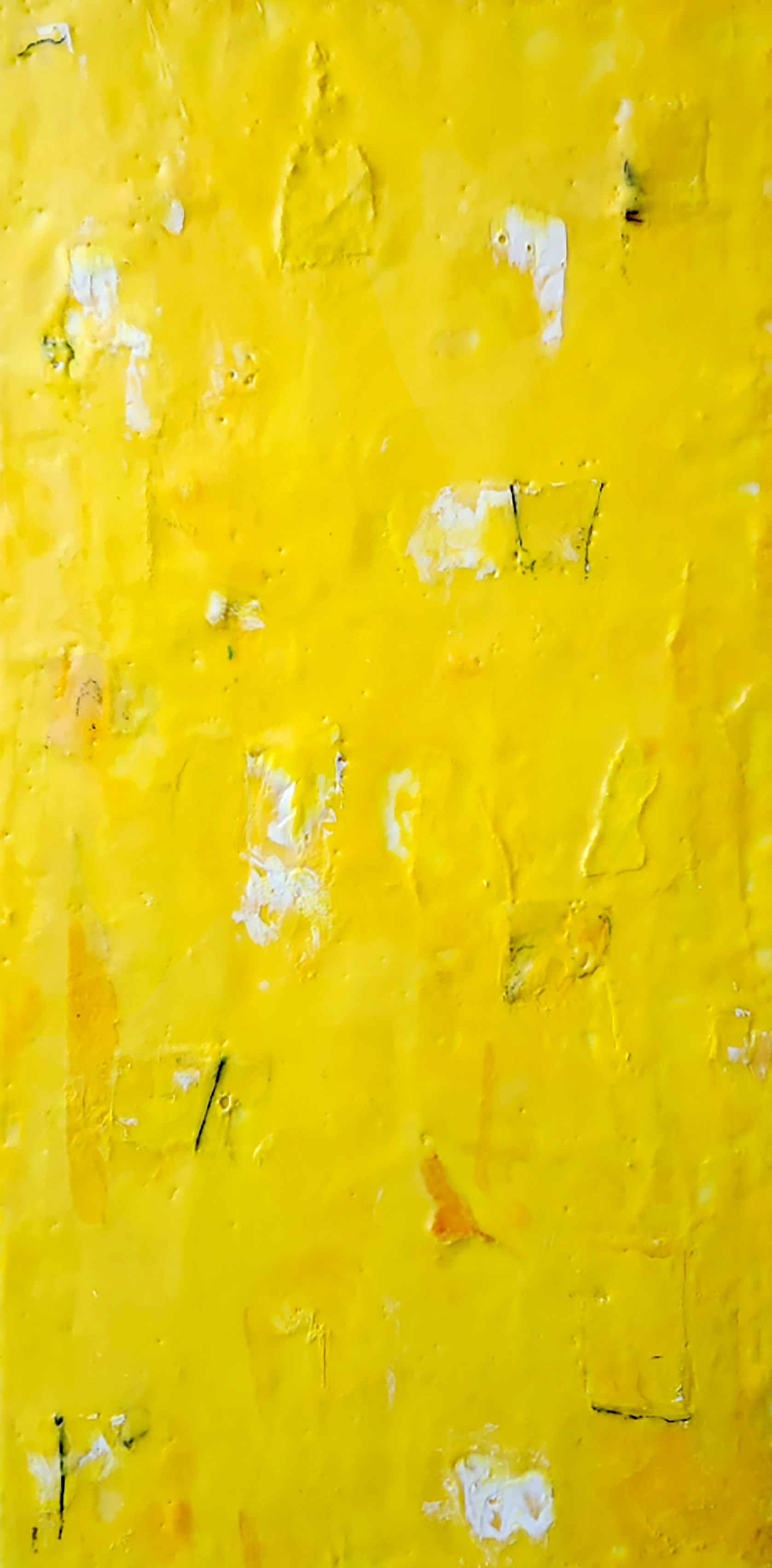 Yellow Dress by Amalia Tagaris