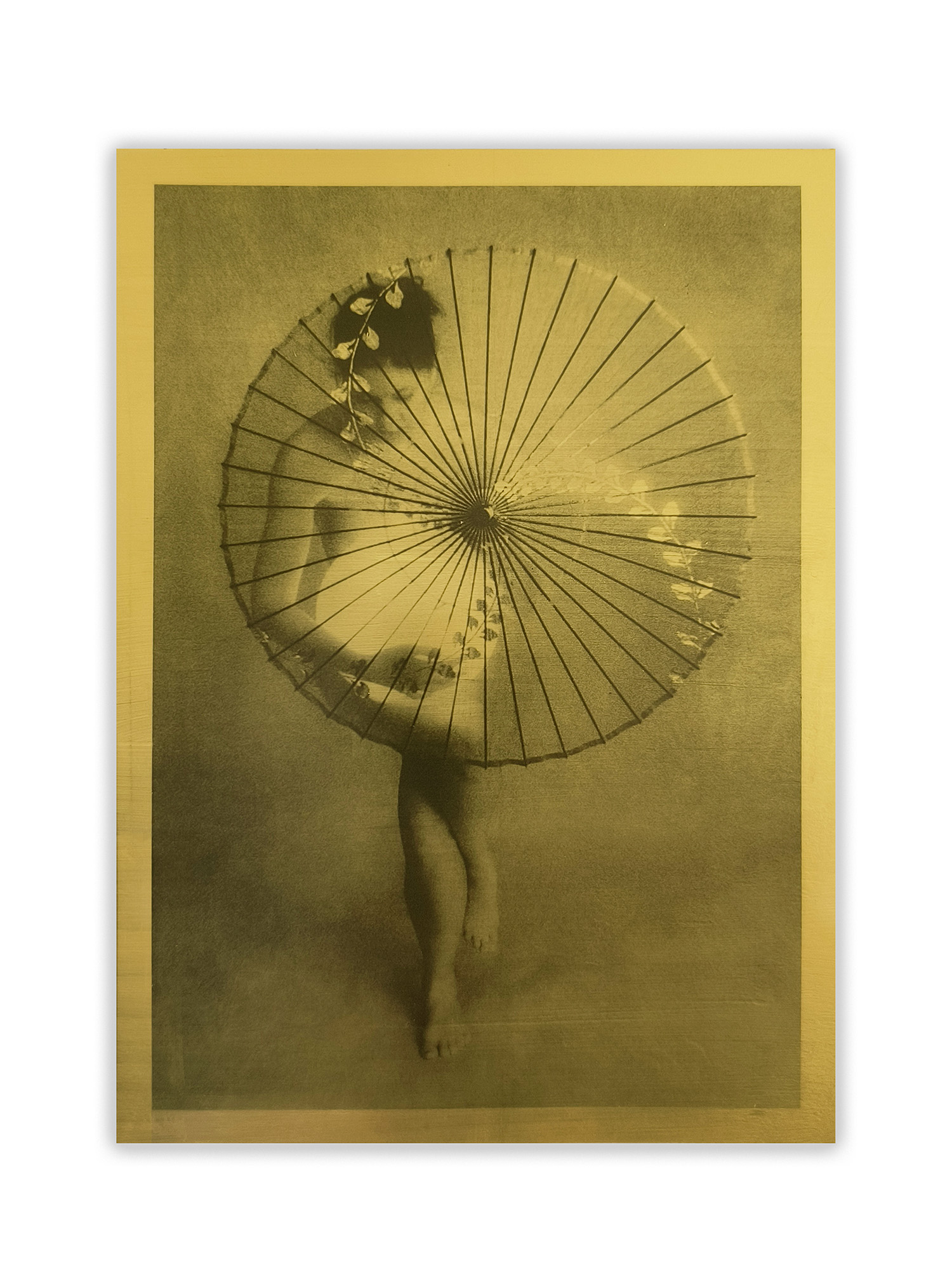 Parasol III by Lynn Bianchi